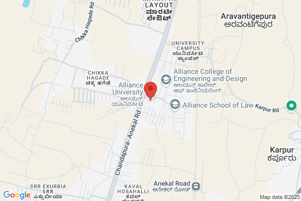 Alliance Institute
