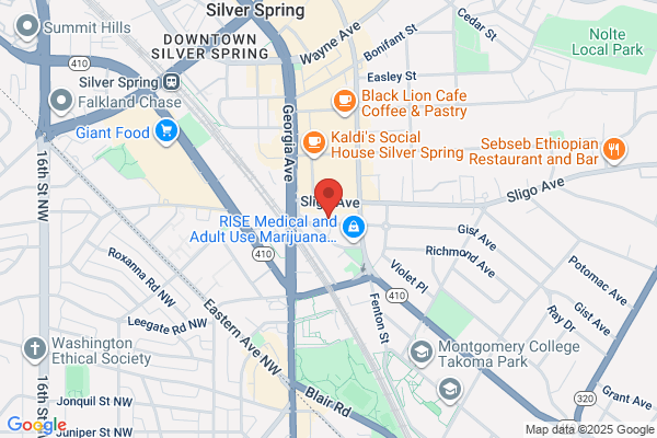 Advanced Electronics Services