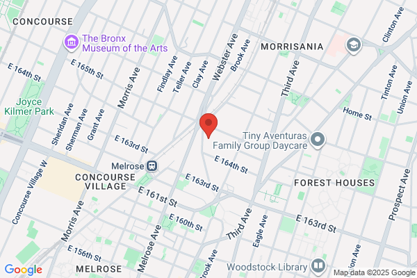 Madonna Shipping Services Inc