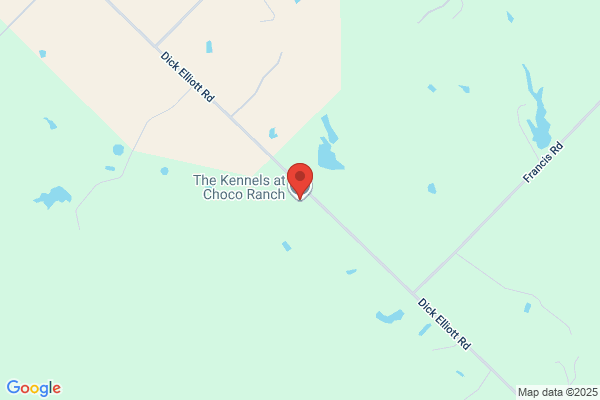 Harper's Tonkawa Kennels