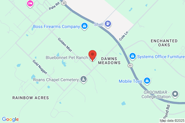 Bluebonnet Pet Ranch