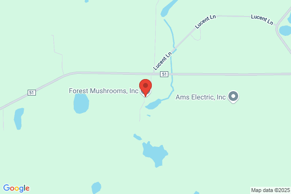 Forest Mushrooms Inc