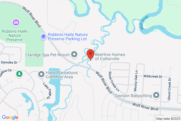 BeeHive Homes of Collierville