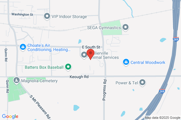 Collierville Town of, Community Services, Food Pantry