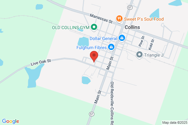 Collins Baptist Church
