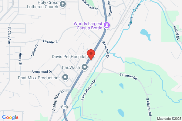 Davis Pet Hospital