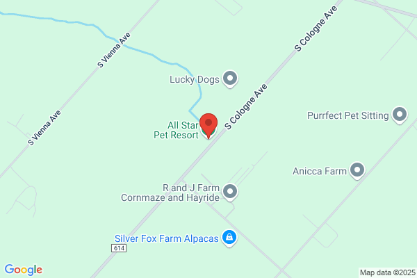 All Star Pet Resort