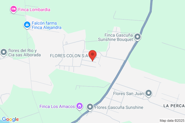 Colon Florial Co