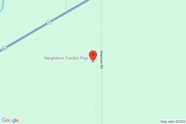 Neighbors Feeder Pigs Inc