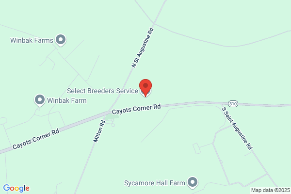 Select Breeders Service Inc