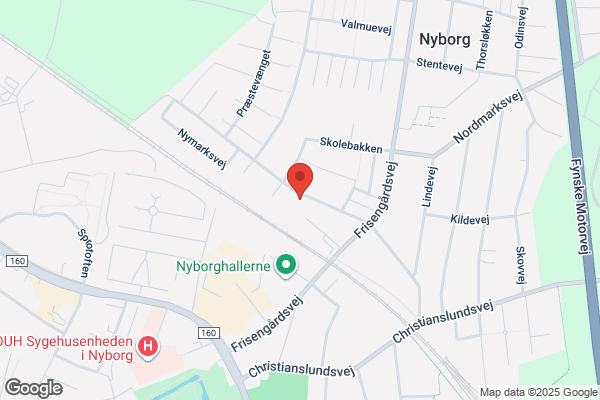 Nyborg Cabinet