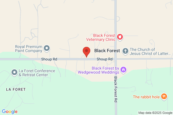 Black Forest Service Center Inc