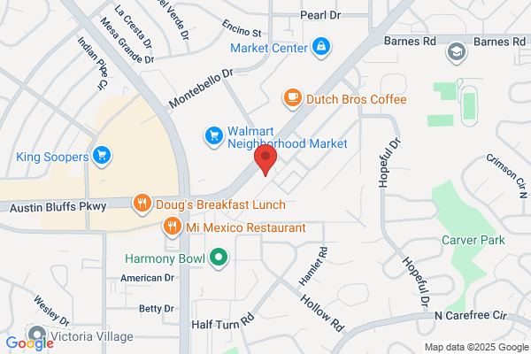 Advance Auto Parts