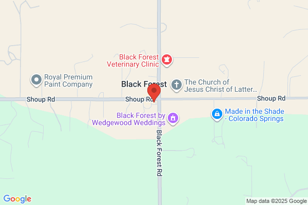 Black Forest Store