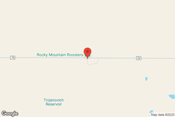 Rocky Mountain Roosters