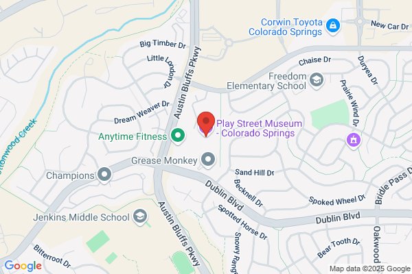 Play Mountain Place Llc