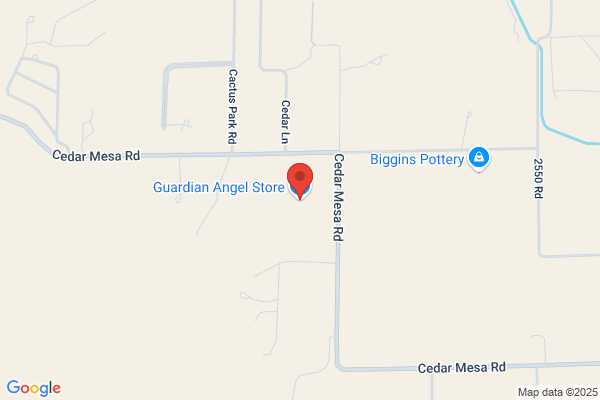 The Guardian Angel Store