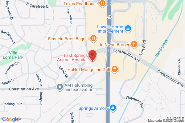 East Springs Animal Hospital