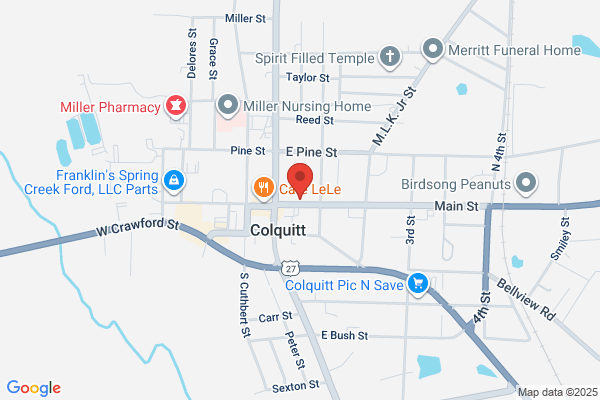 Magnolia Springs Gallery Inc