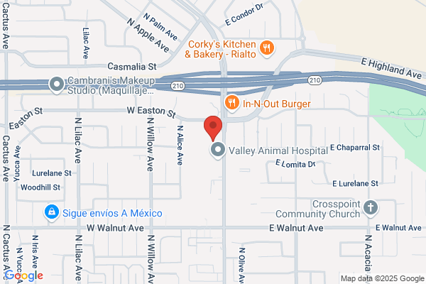 In-Line Chiropractic & Rehabilitation