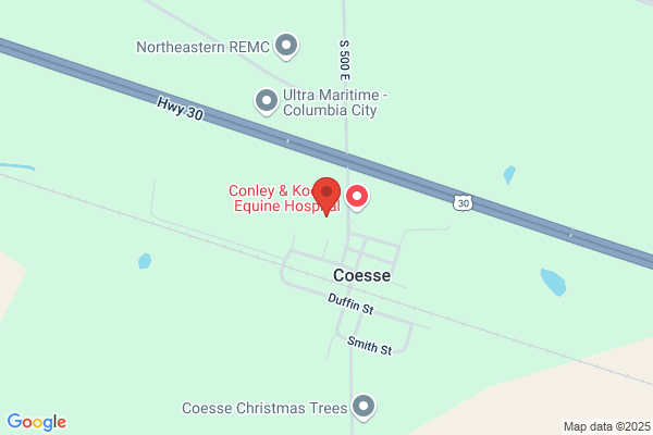 Coesse Elementary School