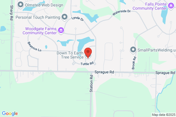 Down To Earth Tree Service