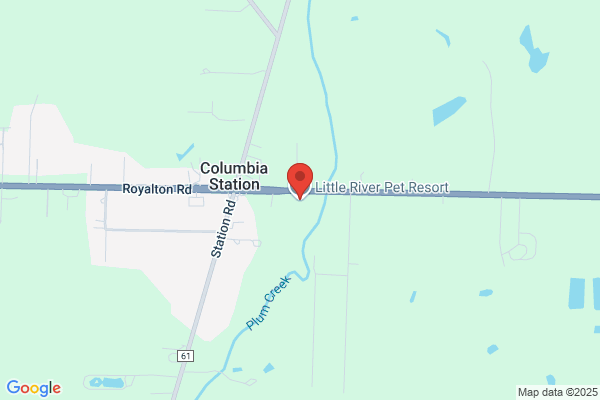 Little River Pet Resort