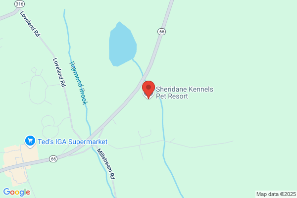 Sheridane Kennels Pet Resort