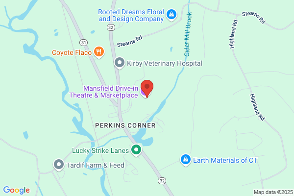 Eastern Conn Flea Market