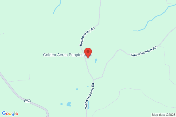 Golden Acres Puppies