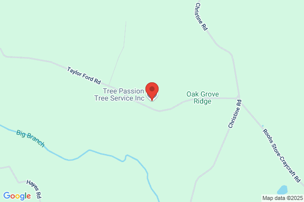Tree Passion Tree Services