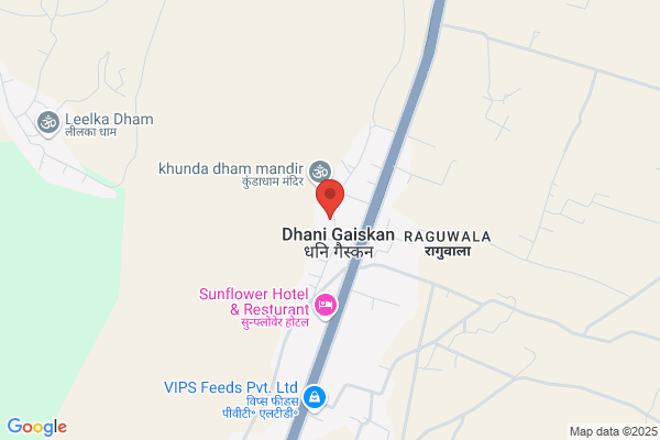 Saini Raj M