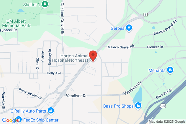 Horton Animal Hospital-Northeast