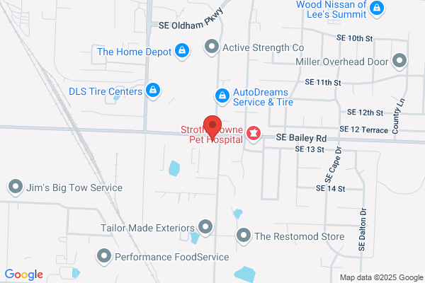 Dr Vinyl of Columbia & Central Mo