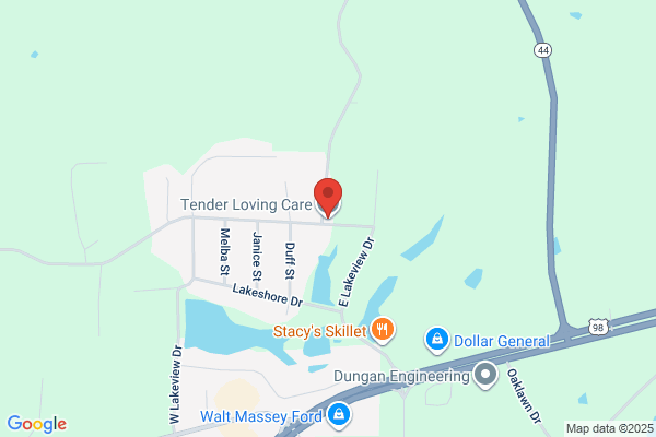 Tender Loving Care Llc