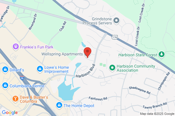 Wellspring