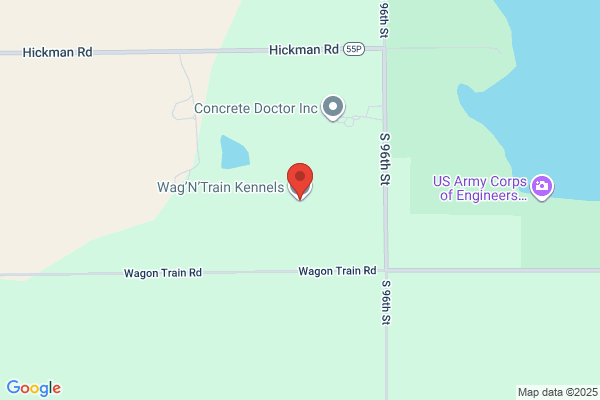 Wag-N-Train Kennel
