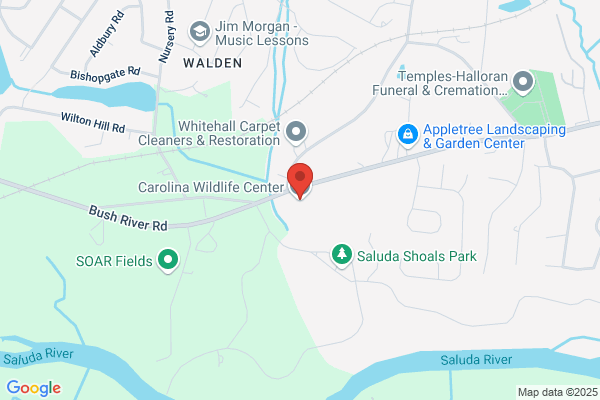 Carolina Wildlife Care Inc