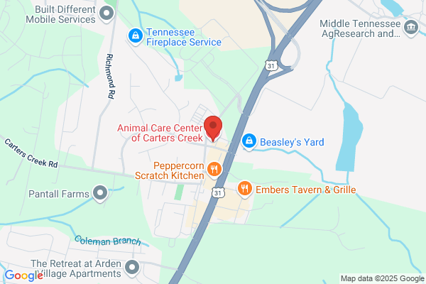 Animal Care Center of Carters Creek