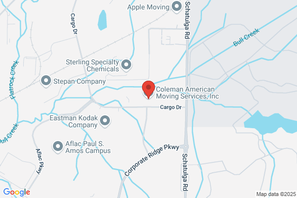 Ace Moving and Storage Inc