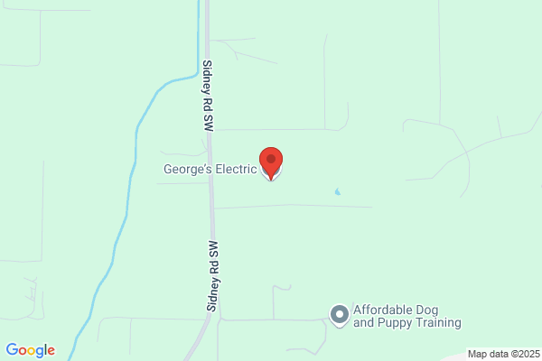 Georges Electric