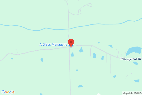 A Glass Menagerie