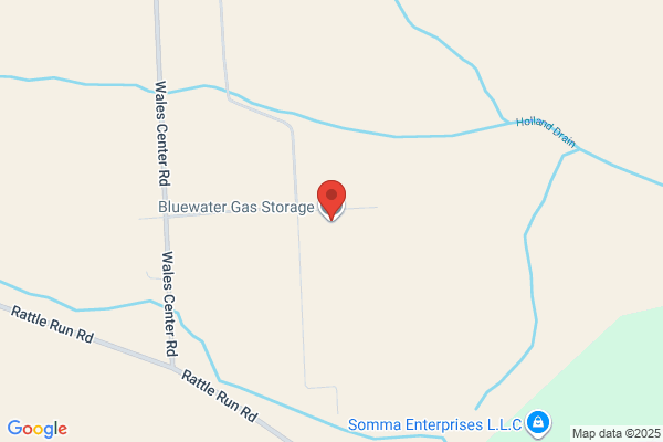 Blue Water Gas Storage Llc