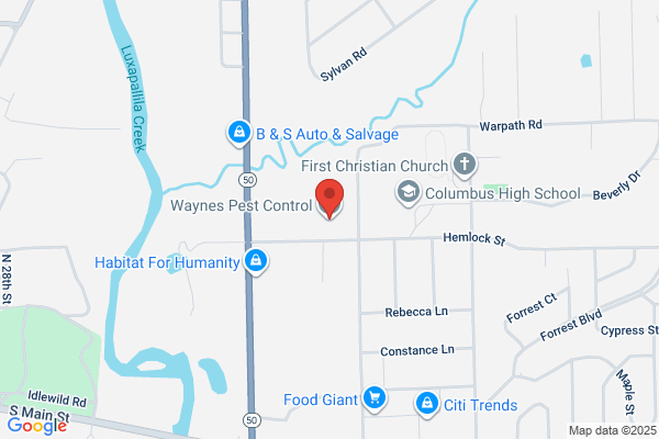 Termite and Pest Control Co
