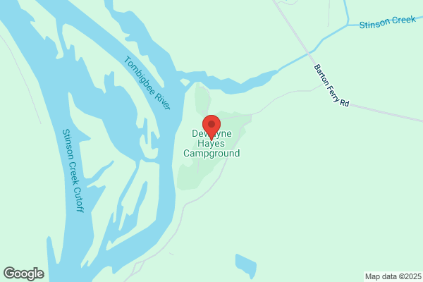 Dwayne Hayes, Campground
