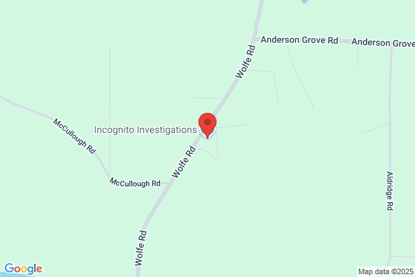 INCOGNITO INVESTIGATIONS