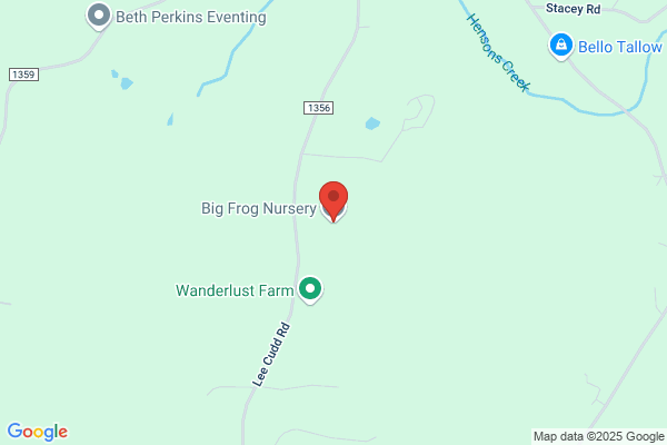 Big Frog Nursery