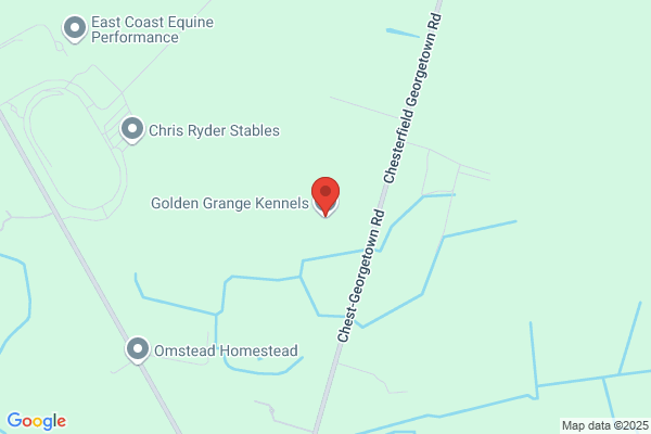 Golden Grange Kennels