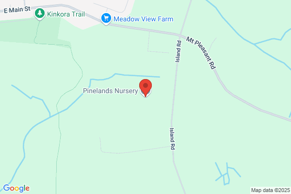 Pinelands Nursery