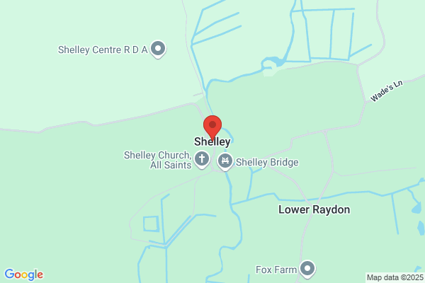 Sills Shellye